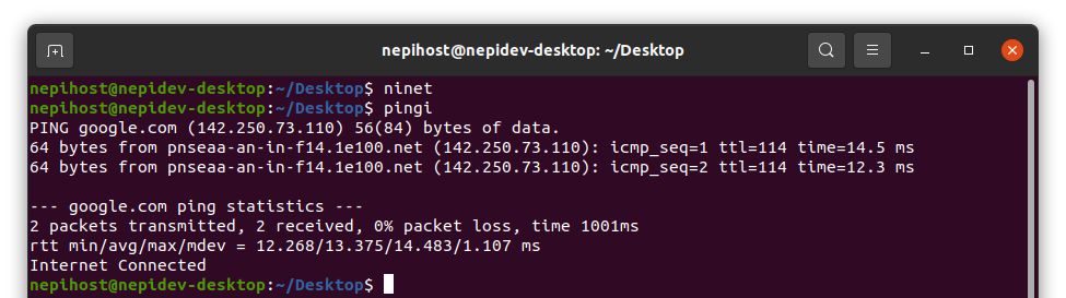 Terminal output showing internet connectivity test