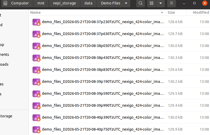 File browser showing saved image files in Demo Files subfolder with demo_files_ prefix in the filename